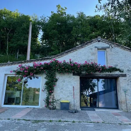 Chez Meme Coucou Ferienhaus Saint-Amans-de-Pellagal